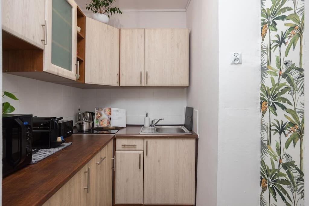 Specious City Center Studio With Park View Varšava Exteriér fotografie
